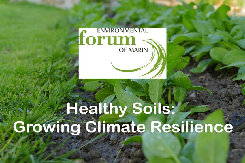 Kahl Consultants EFM Healthy Soils Growing Climate Resilience