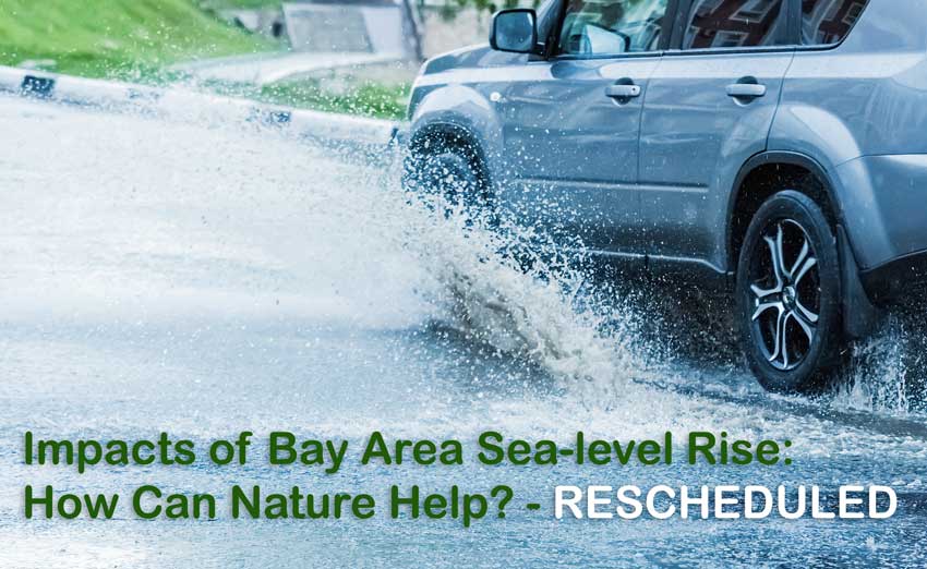 Kahl Consultants Enviromental Forum of Marin Impacts of Bay Area Sea level Rise Rescheduled