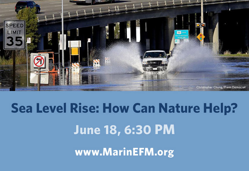Kahl Consultants Environmental Forum of Marin Sea Level Rise