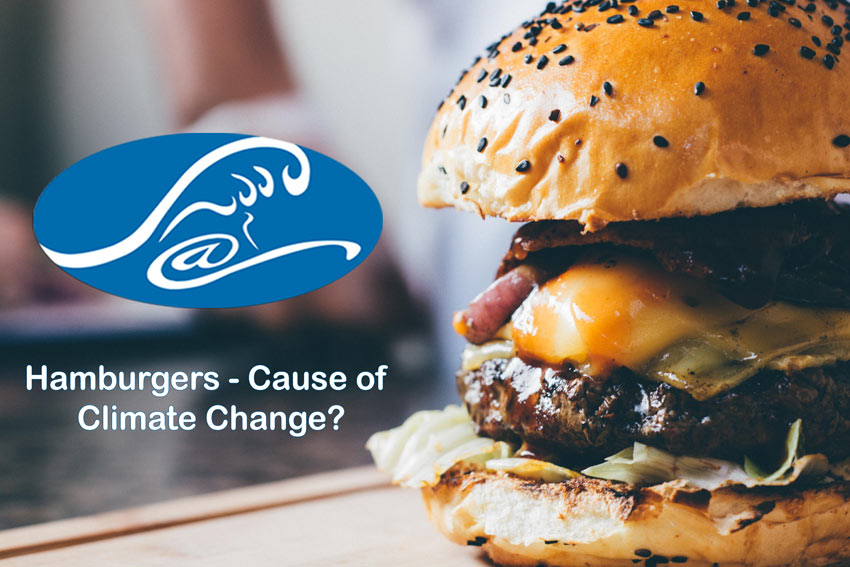 Kahl Consultants Hamburgers Cause of Climate Change
