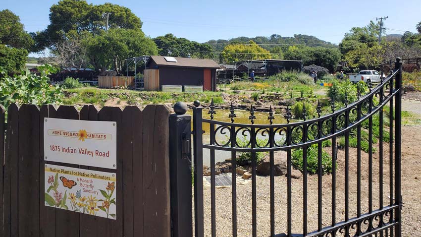 Kahl Consultants Home Ground Habitats Nursery Launch