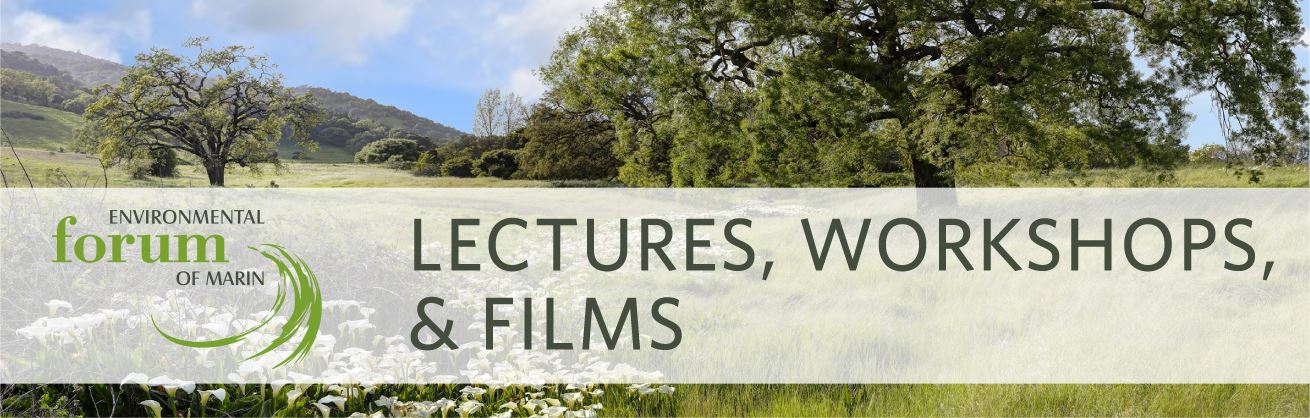 Lectures Workshops Films
