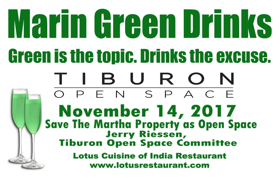 November 14 Marin Green Drinks