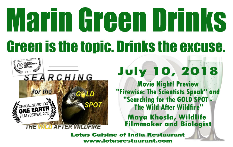 Marin Green Drinks 