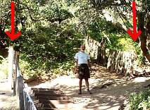 Pt Reyes Earthquake Walk - see how far this fence moved!