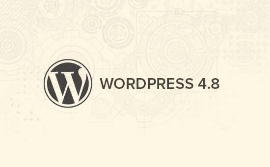 Wordpress 4.8 Update