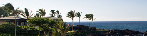 banner_environmental.jpg banner_environmental.jpg