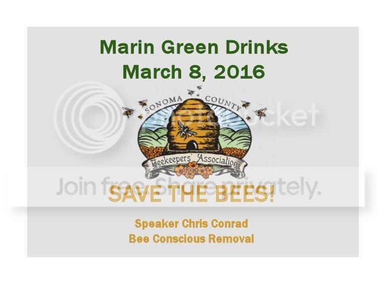 Marin Green Drinks on March 8th