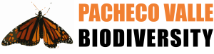 pachecovalle logo