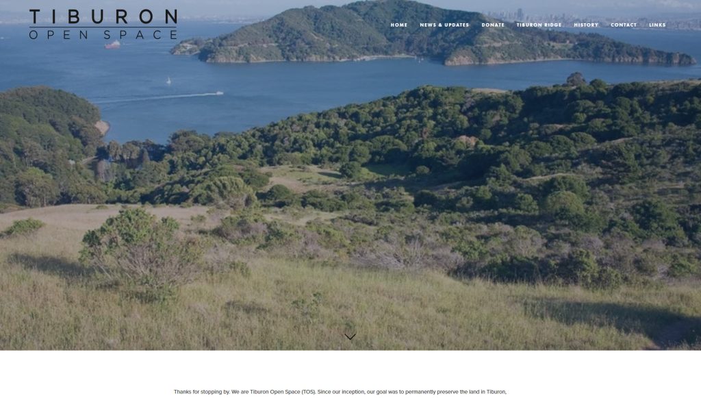 tiburonopensapce